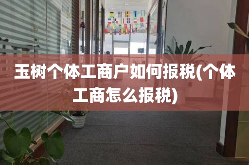 玉树个体工商户如何报税(个体工商怎么报税)