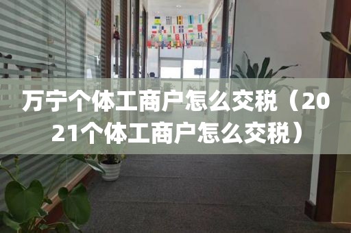 万宁个体工商户怎么交税（2021个体工商户怎么交税）