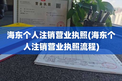 海东个人注销营业执照(海东个人注销营业执照流程)