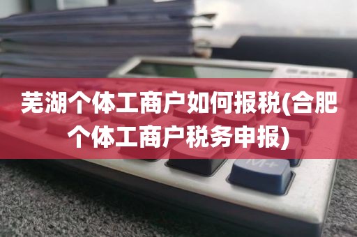 芜湖个体工商户如何报税(合肥个体工商户税务申报)