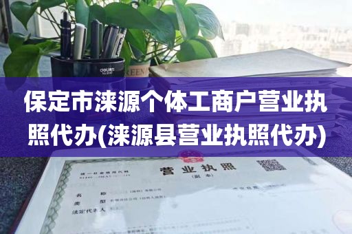保定市涞源个体工商户营业执照代办(涞源县营业执照代办)