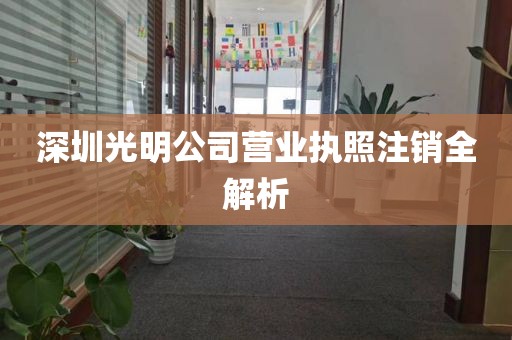 深圳光明公司营业执照注销全解析