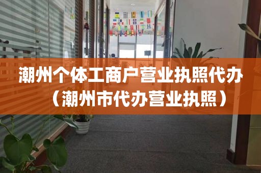 潮州个体工商户营业执照代办（潮州市代办营业执照）