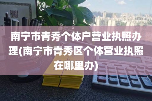 南宁市青秀个体户营业执照办理(南宁市青秀区个体营业执照在哪里办)
