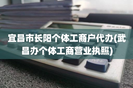 宜昌市长阳个体工商户代办(武昌办个体工商营业执照)