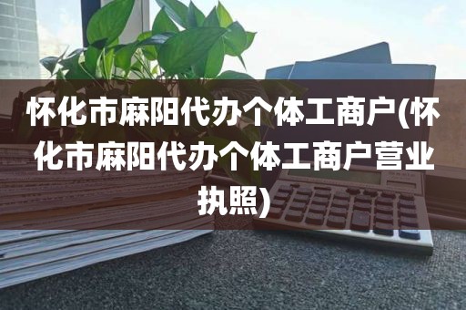 怀化市麻阳代办个体工商户(怀化市麻阳代办个体工商户营业执照)