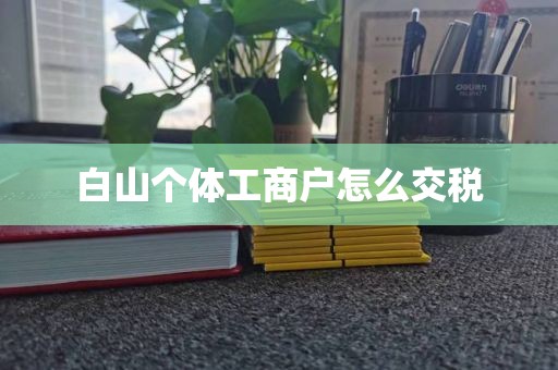白山个体工商户怎么交税