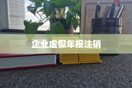 企业虚假年报注销