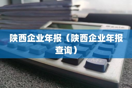 陕西企业年报（陕西企业年报查询）