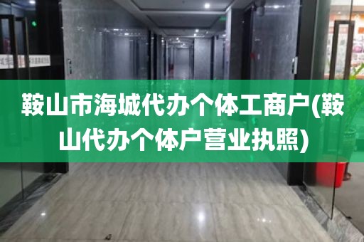 鞍山市海城代办个体工商户(鞍山代办个体户营业执照)