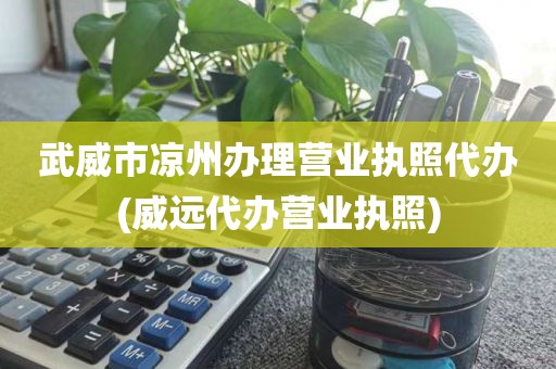 武威市凉州办理营业执照代办(威远代办营业执照)