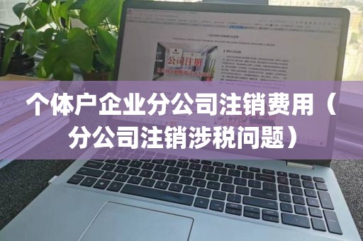 个体户企业分公司注销费用（分公司注销涉税问题）
