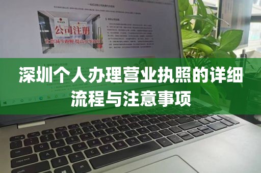深圳个人办理营业执照的详细流程与注意事项