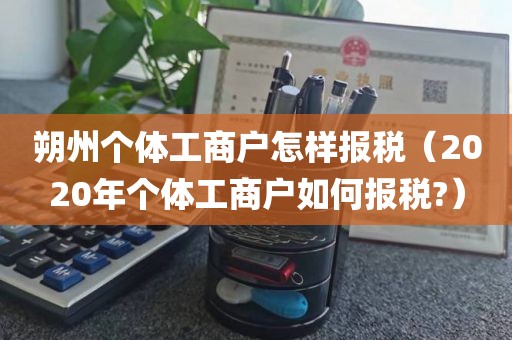 朔州个体工商户怎样报税（2020年个体工商户如何报税?）