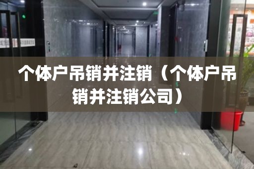 个体户吊销并注销（个体户吊销并注销公司）