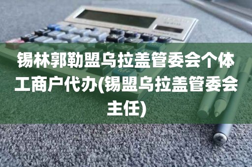 锡林郭勒盟乌拉盖管委会个体工商户代办(锡盟乌拉盖管委会主任)
