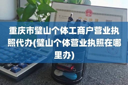 重庆市璧山个体工商户营业执照代办(璧山个体营业执照在哪里办)