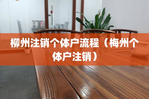 柳州注销个体户流程（梅州个体户注销）