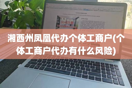 湘西州凤凰代办个体工商户(个体工商户代办有什么风险)