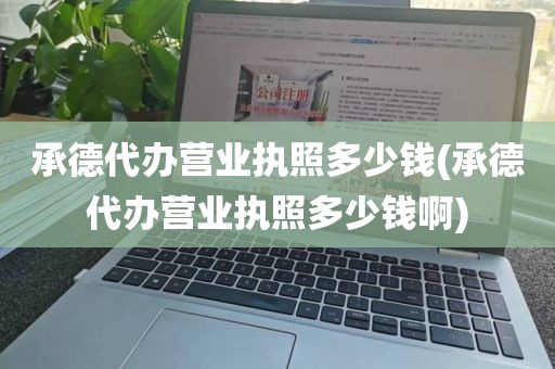 承德代办营业执照多少钱(承德代办营业执照多少钱啊)