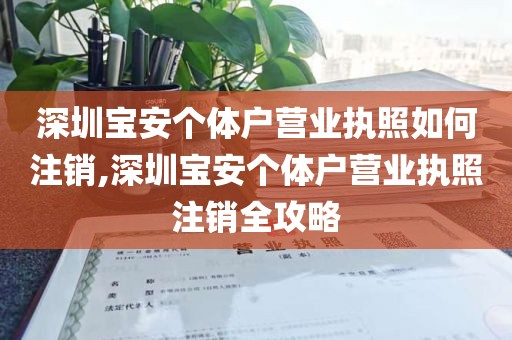 深圳宝安个体户营业执照如何注销,深圳宝安个体户营业执照注销全攻略