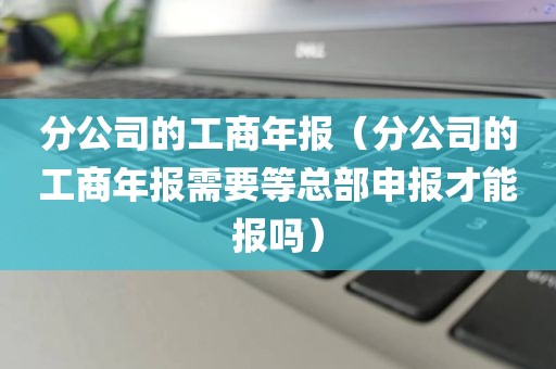 分公司的工商年报（分公司的工商年报需要等总部申报才能报吗）