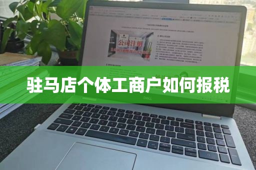 驻马店个体工商户如何报税