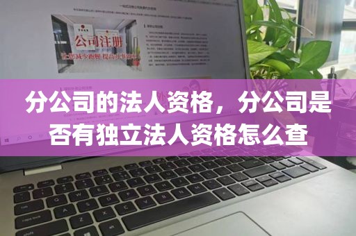 分公司的法人资格，分公司是否有独立法人资格怎么查