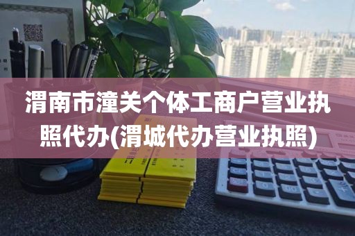渭南市潼关个体工商户营业执照代办(渭城代办营业执照)