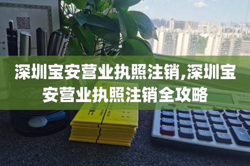 深圳宝安营业执照注销,深圳宝安营业执照注销全攻略
