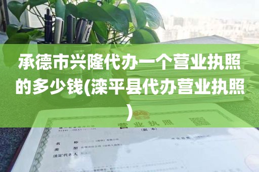 承德市兴隆代办一个营业执照的多少钱(滦平县代办营业执照)