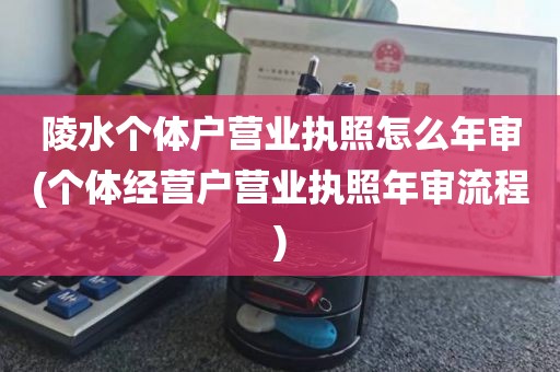 陵水个体户营业执照怎么年审(个体经营户营业执照年审流程)
