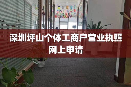 深圳坪山个体工商户营业执照网上申请