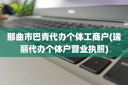 那曲市巴青代办个体工商户(瑞丽代办个体户营业执照)