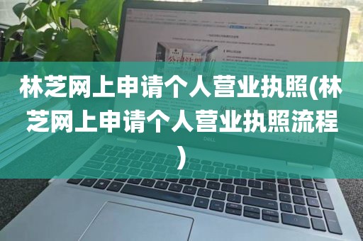 林芝网上申请个人营业执照(林芝网上申请个人营业执照流程)