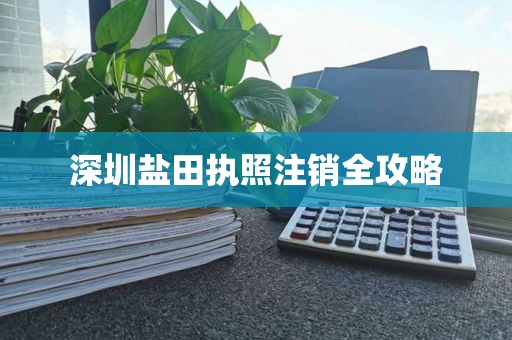 深圳盐田执照注销全攻略