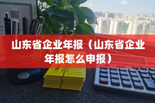 山东省企业年报（山东省企业年报怎么申报）