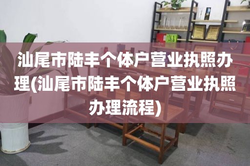 汕尾市陆丰个体户营业执照办理(汕尾市陆丰个体户营业执照办理流程)