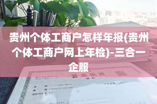 贵州个体工商户怎样年报(贵州个体工商户网上年检)-三合一企服