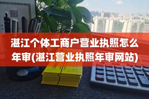 湛江个体工商户营业执照怎么年审(湛江营业执照年审网站)