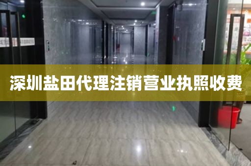 深圳盐田代理注销营业执照收费
