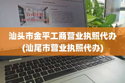 汕头市金平工商营业执照代办(汕尾市营业执照代办)