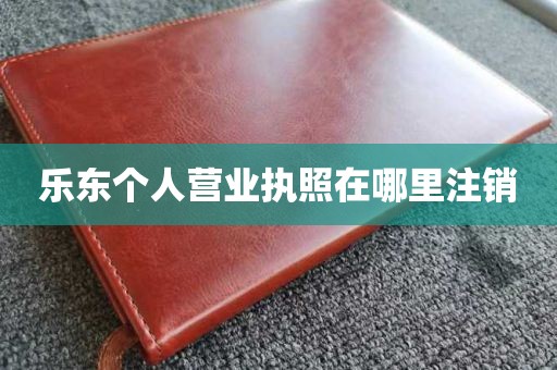 乐东个人营业执照在哪里注销