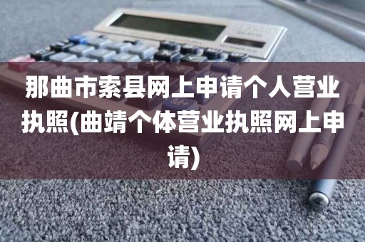 那曲市索县网上申请个人营业执照(曲靖个体营业执照网上申请)
