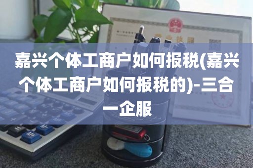 嘉兴个体工商户如何报税(嘉兴个体工商户如何报税的)-三合一企服