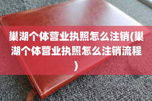 巢湖个体营业执照怎么注销(巢湖个体营业执照怎么注销流程)