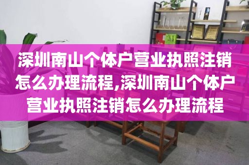 深圳南山个体户营业执照注销怎么办理流程,深圳南山个体户营业执照注销怎么办理流程