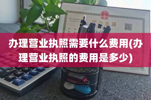 办理营业执照需要什么费用(办理营业执照的费用是多少)