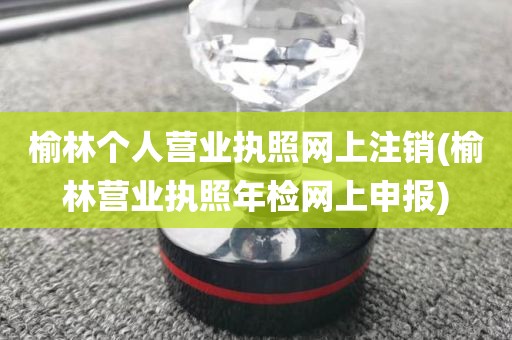 榆林个人营业执照网上注销(榆林营业执照年检网上申报)