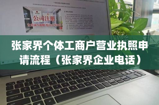 张家界个体工商户营业执照申请流程（张家界企业电话）